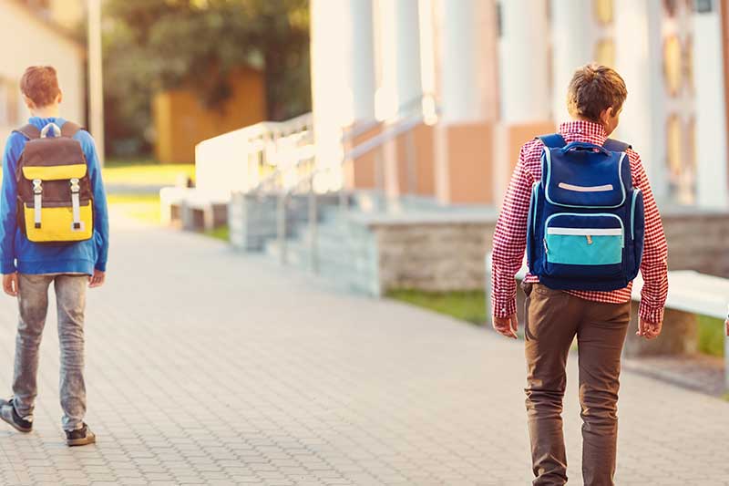 ROBUR_applicazioni_soluzioni-ambito-professionale_edilizia-scolastica-800x533 ROBUR_applicazioni_soluzioni-ambito-professionale_edilizia-scolastica-800x533