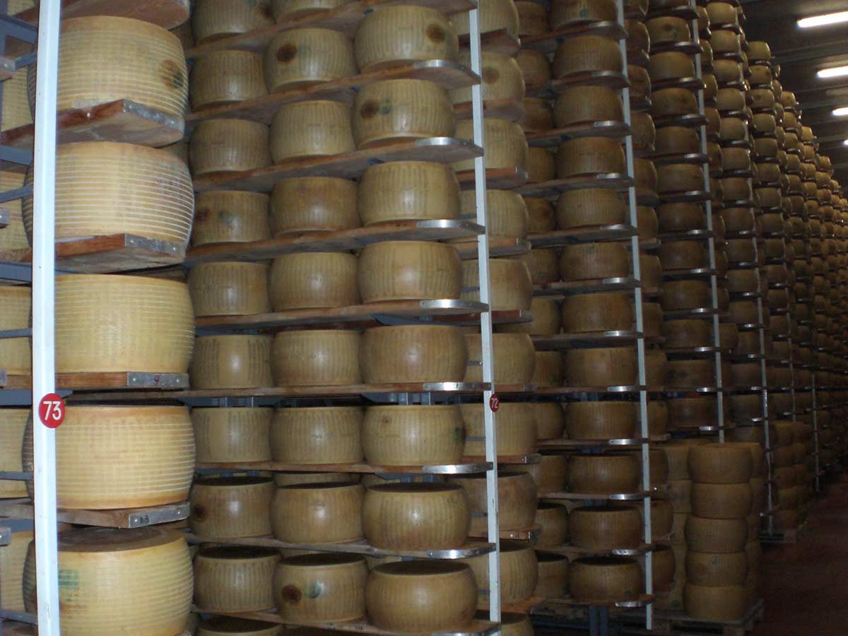 Refrigeratori a gas per la stagionatura controllata del formaggio