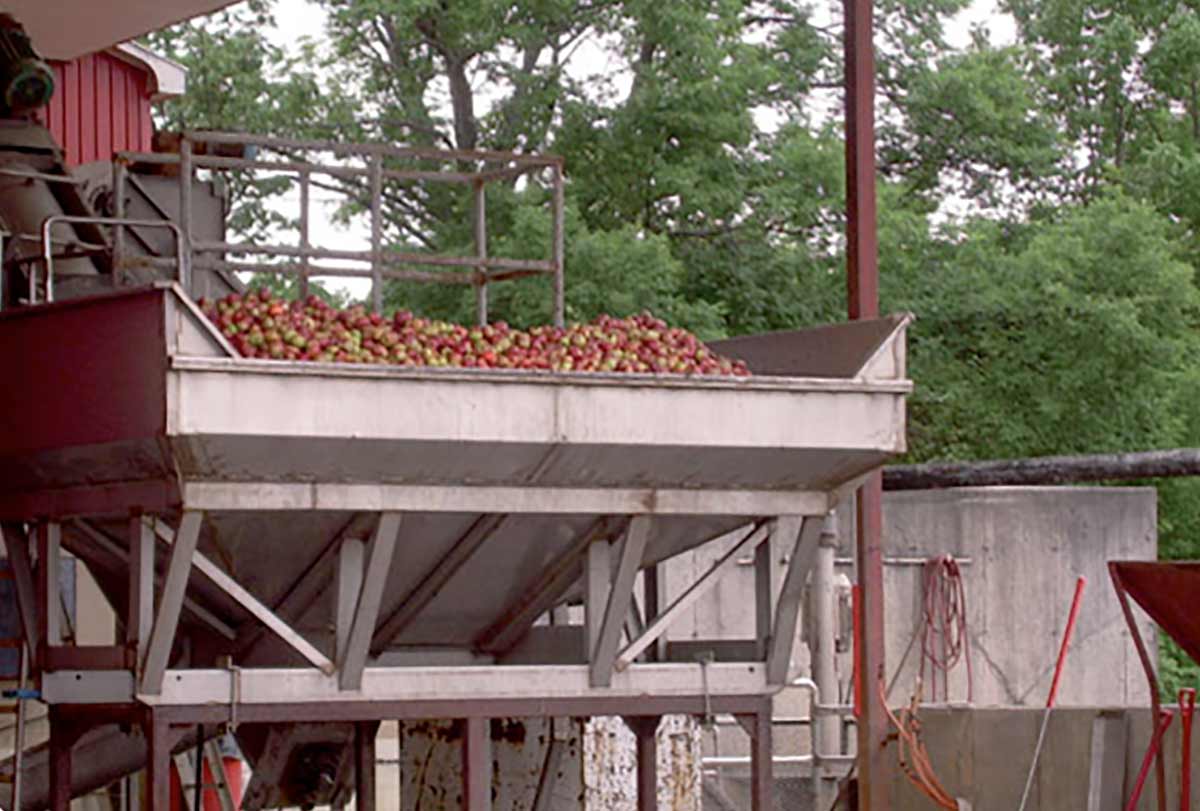 Applicazione di processo nella lavorazione alimentare d'oltreoceano